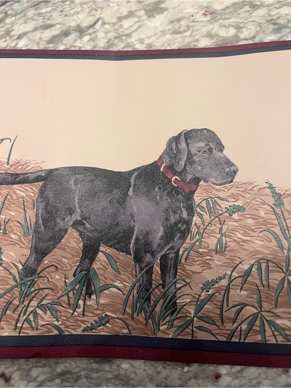 Labrador Retriever hunting dog wallpaper border discontinued 10 yards total